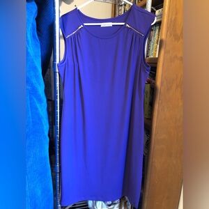 Calvin Klein dress (Like New)